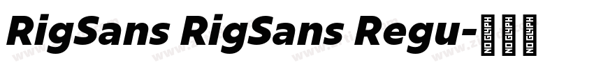 RigSans RigSans Regu字体转换 RigSans RigSans Regu字体转换